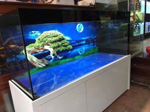 Bí kíp, chọn tranh 3d bể cá trang trí ý nghĩa hút lộc tài, vượng khí