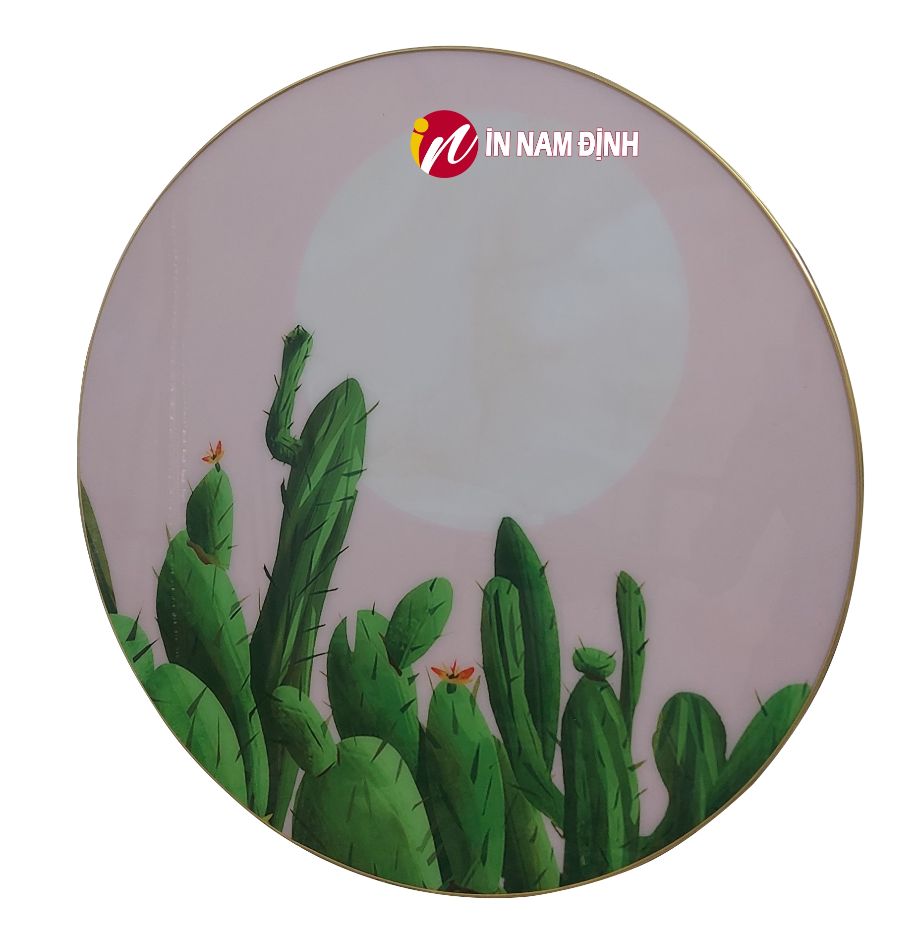 Điểm nhấn tranh cây xương rồng trang trí ý nghĩa sức sống mãnh liệt