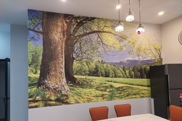 Hè sang trang trí tranh dán tường 3d phong cảnh thiên nhiên cây cổ thụ