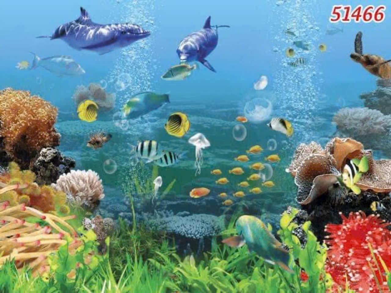 Lợi ích khi sử dụng tranh dán bể cá cảnh kiến tạo không gian sống động