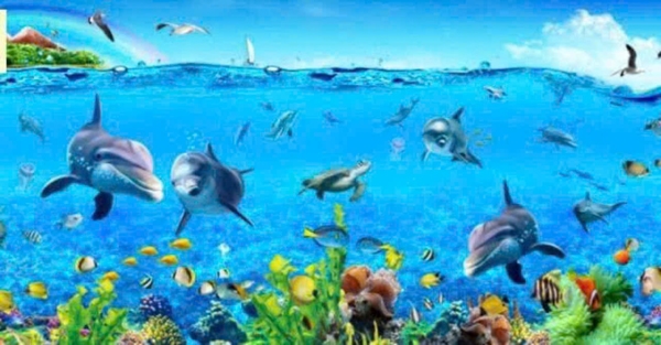 Sống động không gian trang trí tranh dán bể cá thủy sinh siêu bền đẹp chất lượng giá rẻ