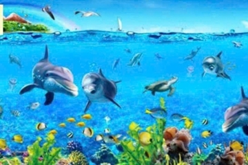 Sống động không gian trang trí tranh dán bể cá thủy sinh siêu bền đẹp chất lượng giá rẻ