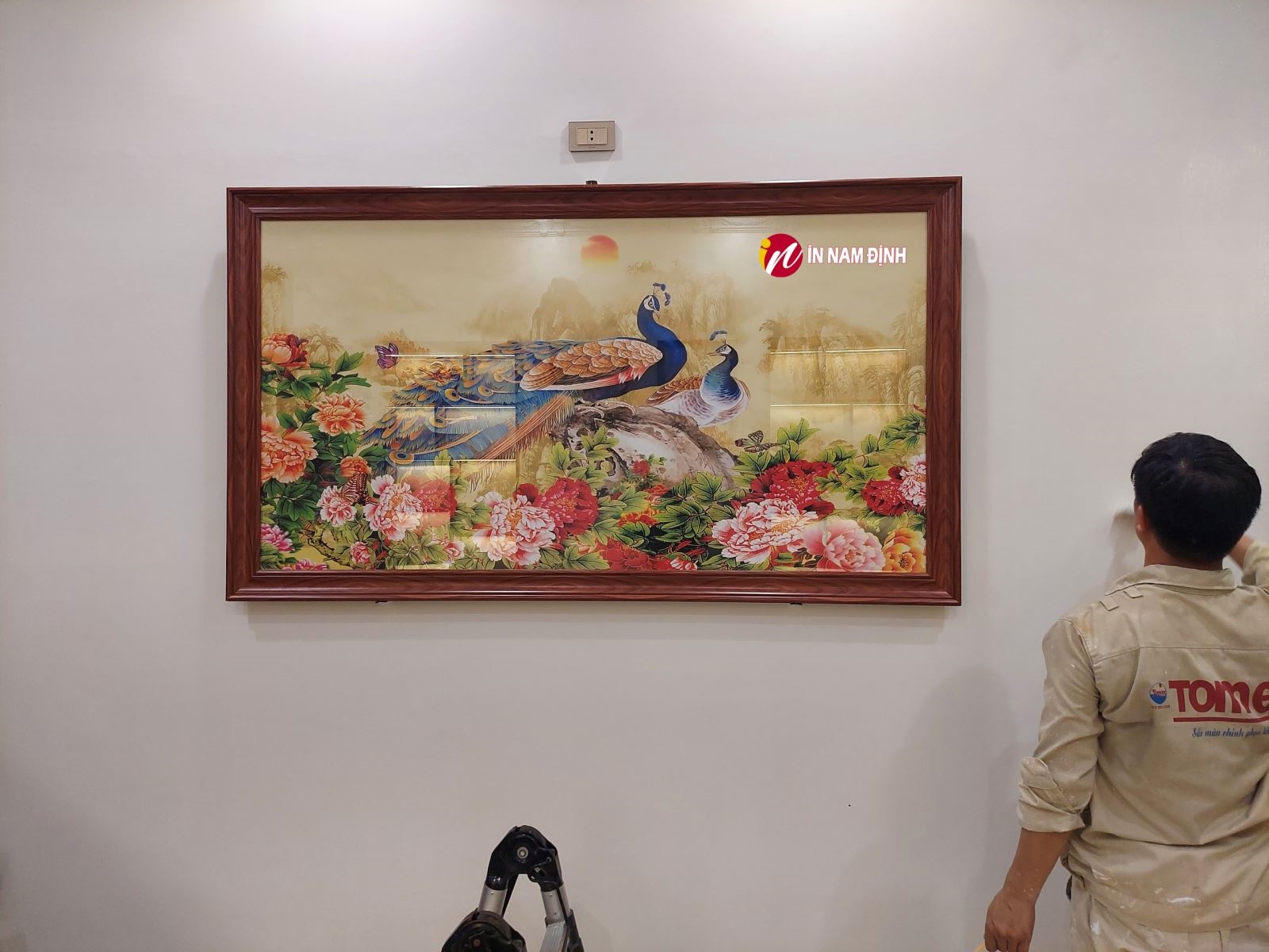 Tìm hiểu tranh chim công nên treo ở đâu hợp phong thủy đón lộc tài như ý