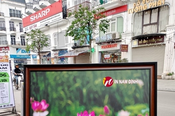 Tô điểm không gian sống top mẫu tranh hoa 3d đẹp cho ngày mới tươi vui đầy sức sống