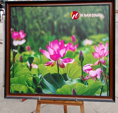Top mẫu tranh treo tường 3d siêu bền đẹp giá rẻ chất lượng số 1 tại Nam Định