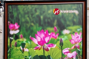 Top mẫu tranh treo tường 3d siêu bền đẹp giá rẻ chất lượng số 1 tại Nam Định