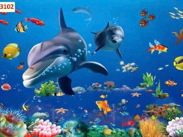 Tranh dán bể cá thủy sinh trang trí đẹp chất lượng giá rẻ tại tranhnamdinh.vn