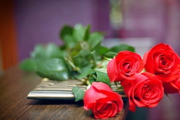 Truyền thuyết về hoa hồng, bức tranh đẹp về hoa hồng tại innamdinh.vn