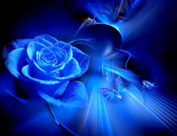 Truyền thuyết hoa hồng xanh - Bạn có tin rằng, tồn tại một loài hoa hồng có màu sắc độc đáo và kỳ lạ, chỉ mọc trên những cánh đồng xa xôi, huyền bí? Truyền thuyết hoa hồng xanh - một câu chuyện kì diệu về loài hoa lạ này, sẽ được khám phá qua những tấm ảnh đẹp nhất.