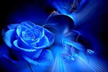 Vì sao hoa hồng xanh là biểu tượng của tình yêu bất diệt? ý nghĩa của hoa hồng xanh