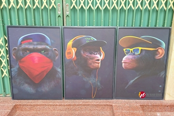 Xịn sò, tranh con khỉ đẹp trang trí với nhiều ý nghĩa công danh, trường thọ