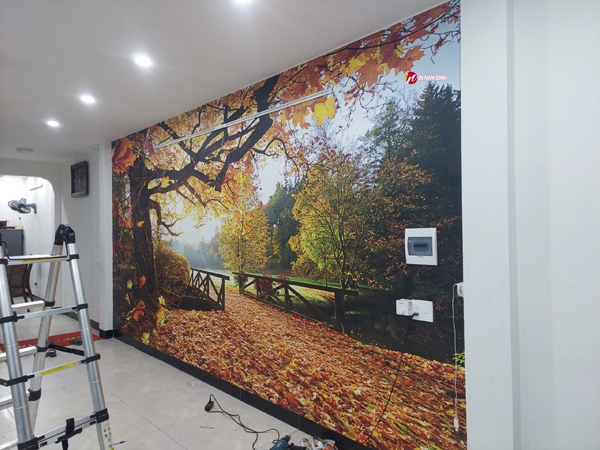 Xu hướng trang trí tranh dán tường 3d vải lụa kim sa bền đẹp điểm đến nghệ thuật độc đáo