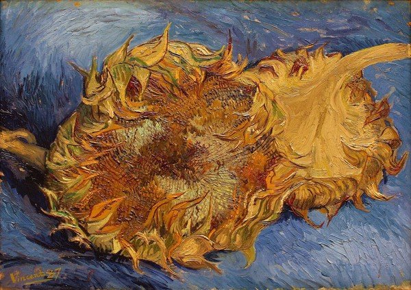 Lịch sử loạt tranh Hoa Hướng Dương của Van Gogh
