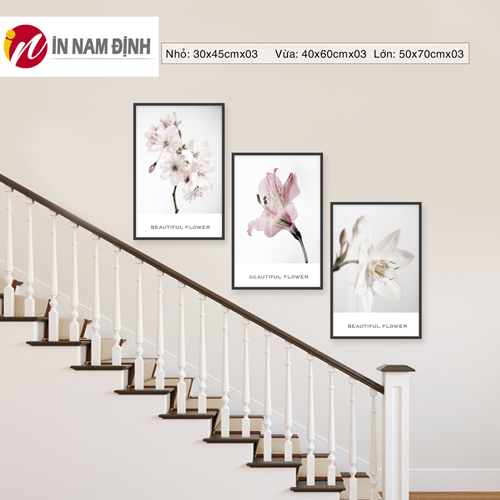 Tranh treo cầu thang bộ 3 bức hoa lan trắng